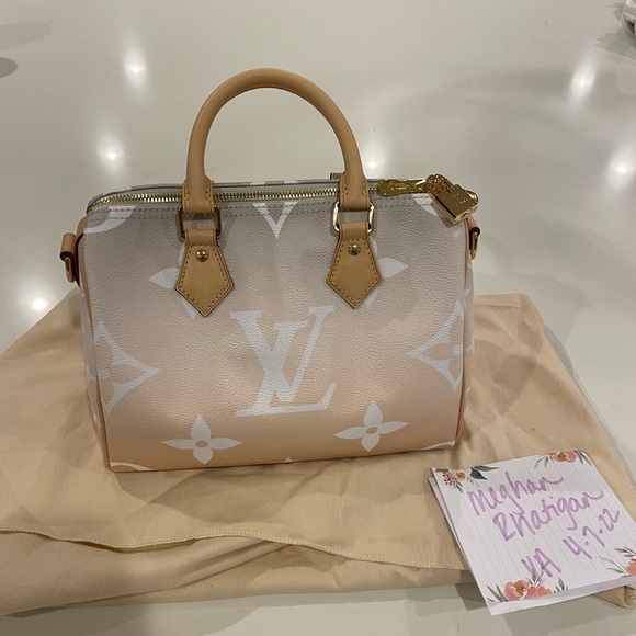Brand new never carried Louis Vuitton Speedy 25 By the Pool Brume - Picture 2 of 9